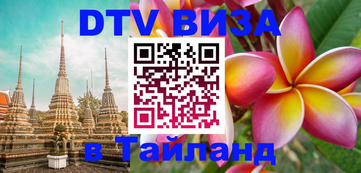 Сколько стоит DTV виза — актуальные цены, оформление даже без документов - Сараево 